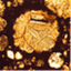openmeteorites.wordpress.com