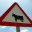 byebyebullfighting.wordpress.com