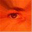 mrdougwright.com
