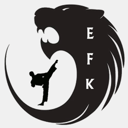 elliottsfamilykarate.com