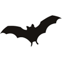 chiroptera.se