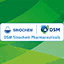 dsm-sinochem.com