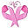 associacaorosamulher.org