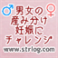 strlog.com