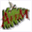 affq.ca