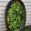 craigslistmirrors.com