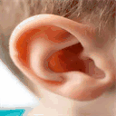 earcongestion.org