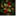 randomflashes.wordpress.com