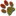 beamorell.com