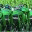 lasmestas.wordpress.com
