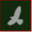 mtnshadow.com