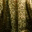 beatrizmaues.com