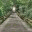 prash32.wordpress.com