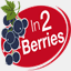 in2berries.com