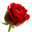 rosenailsinkc.com