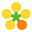 nanohana.link