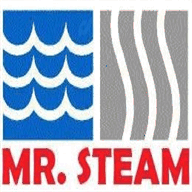 mrsteamcarpetcare.com