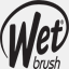 thewetbrush.com