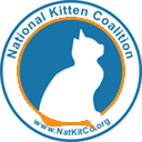 kittencoalition.org