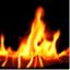 eligibleforfire.wordpress.com