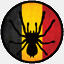 theraphosidae.be