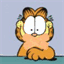 silentgarfield.com