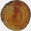eyesofhowick.com