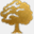 tarrarosenbaum.com