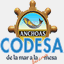 codesa.es