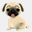 pugbutts.com