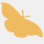 rustandmoth.com