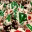 pdferd.wordpress.com