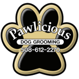 paws4teaching.com