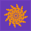 coastalentgroup.com