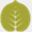 searchengineoptimization.jp