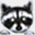 wildwon.net