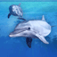 aquatra.com