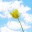 lemontulip.wordpress.com