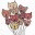 brandykelley.net