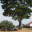 johnpaulschool.org