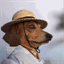 thebobcorrigan.com