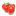 tomatenpflanzen.info