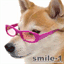 smile-1one.com