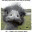 cerit4lucu.wordpress.com