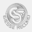 gsrecord.it