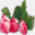 akoyakai.com
