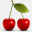 frenchglacecherries.com