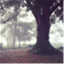 treeofgrace.com