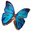 thyrosite.com