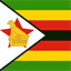 newzimbabwevision.com